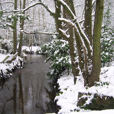 Bosbeekvallei Opoeteren Esterno foto