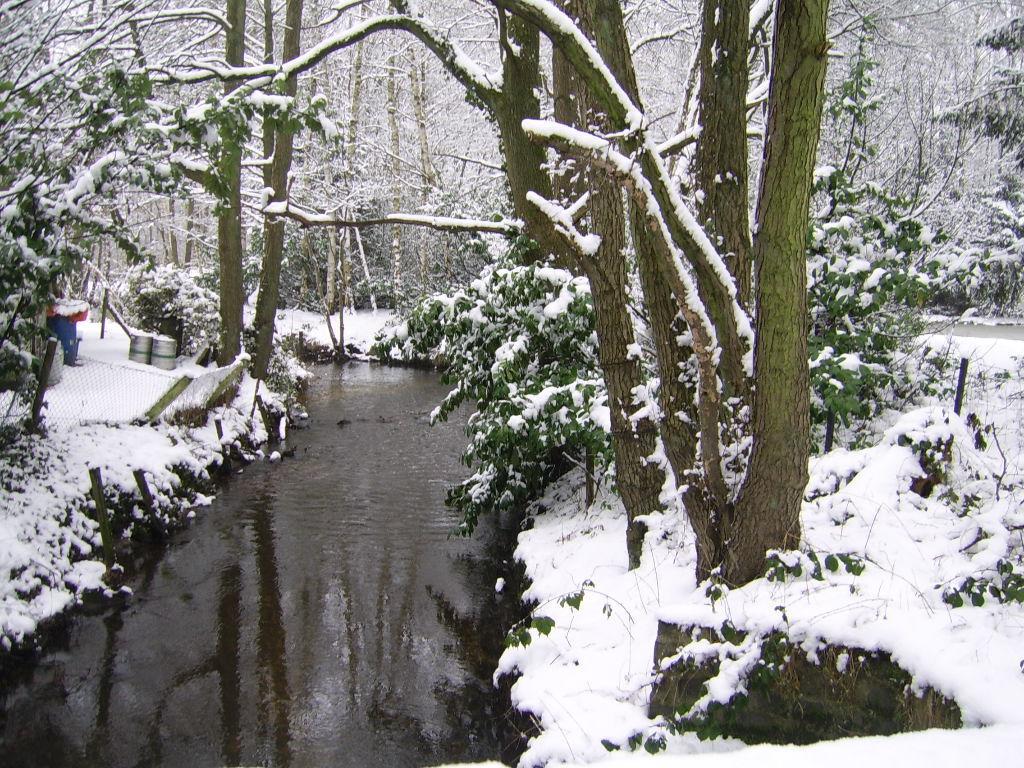 Bosbeekvallei Opoeteren Esterno foto