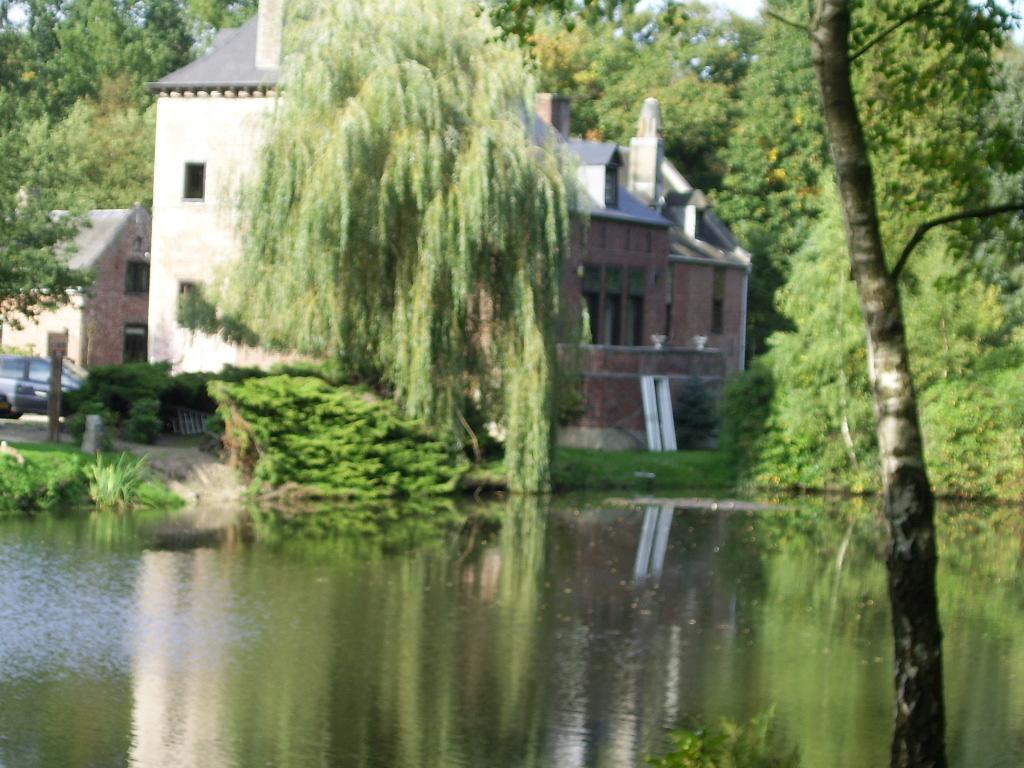 Bosbeekvallei Opoeteren Esterno foto
