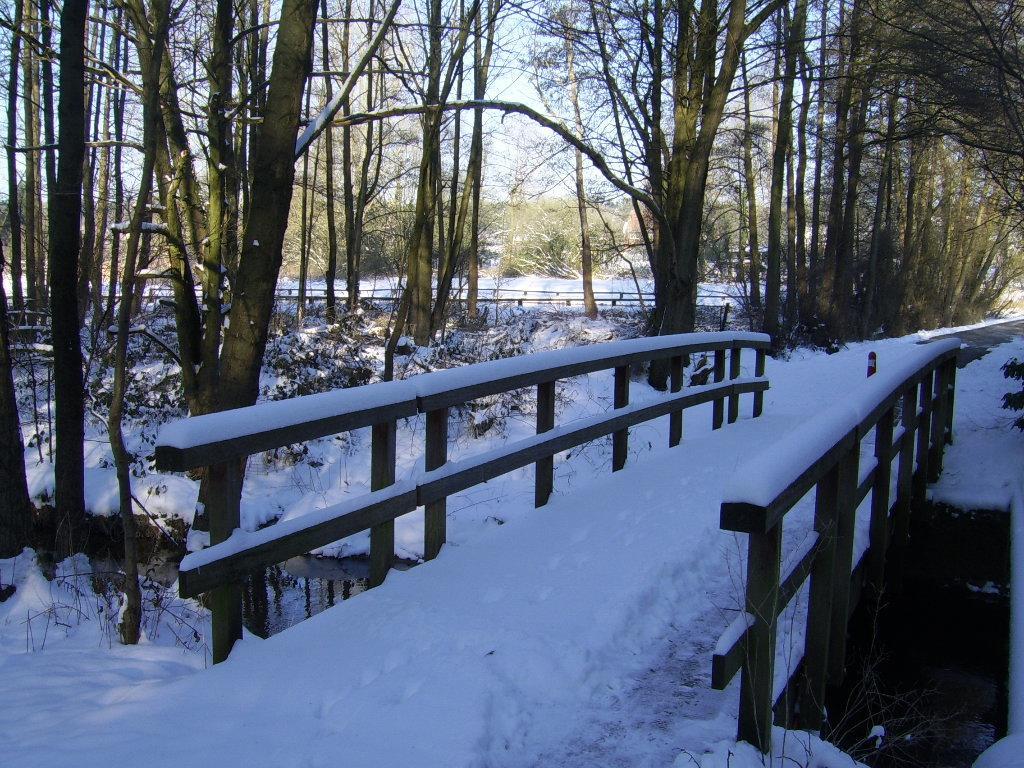 Bosbeekvallei Opoeteren Esterno foto