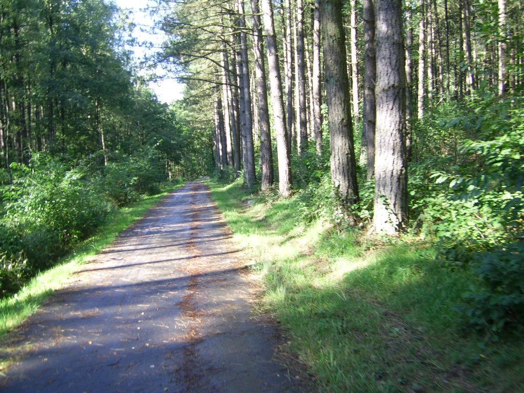 Bosbeekvallei Opoeteren Esterno foto