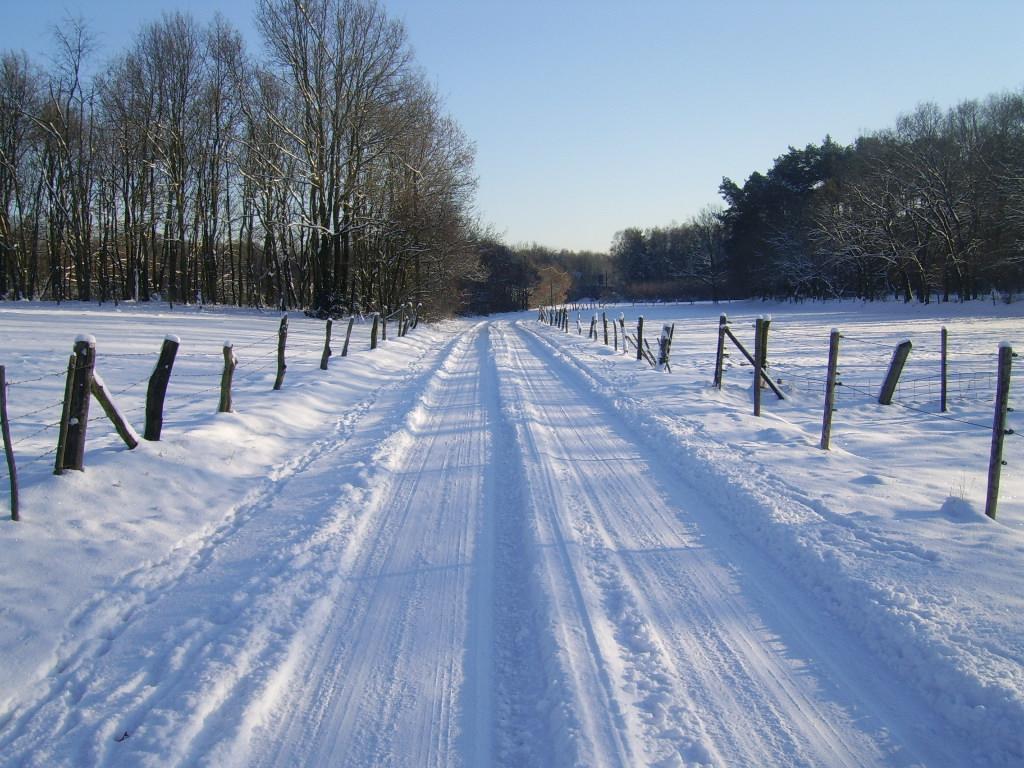 Bosbeekvallei Opoeteren Esterno foto